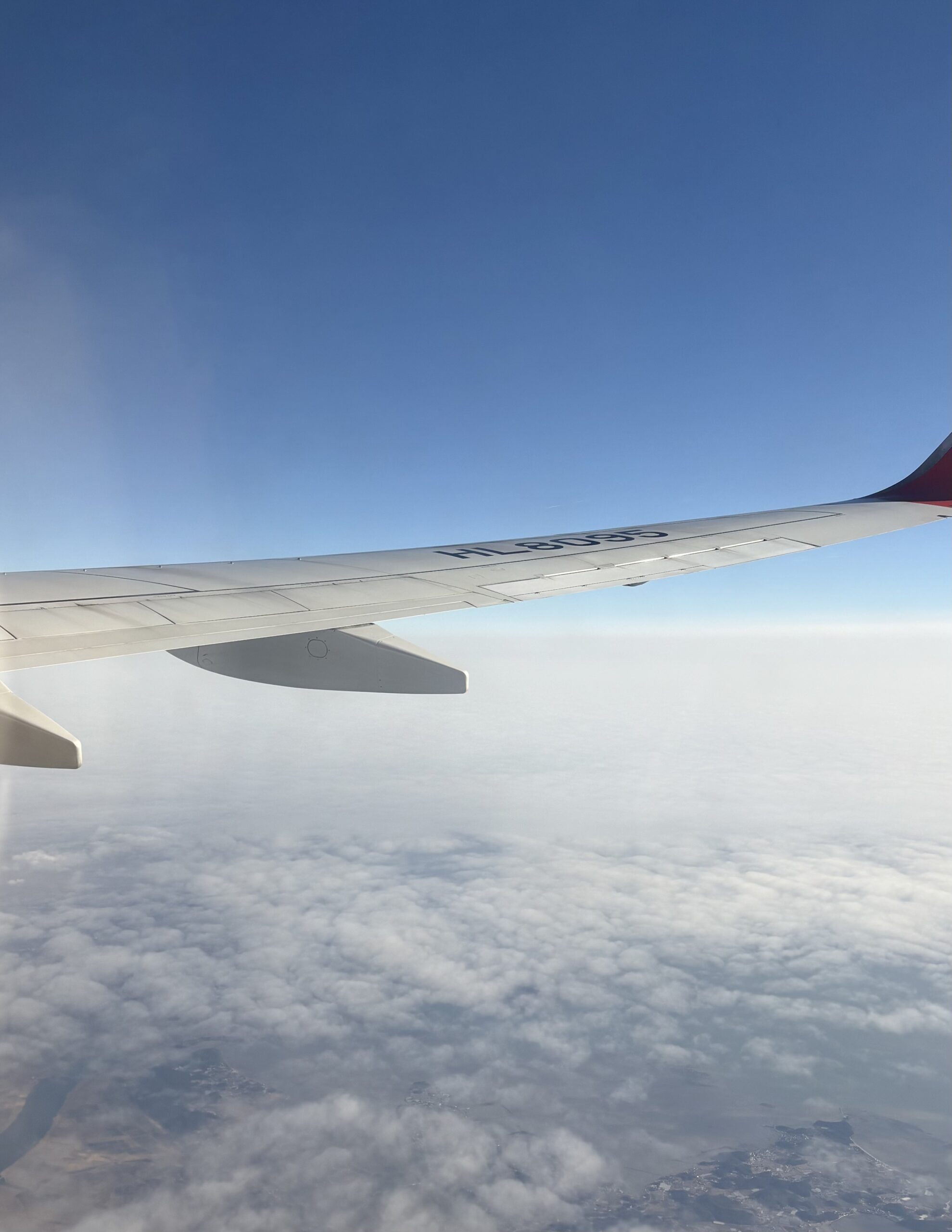 飛行機からの景色